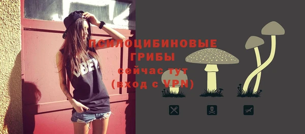 гидропоника Арсеньев