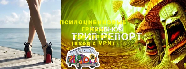соль ск Аркадак