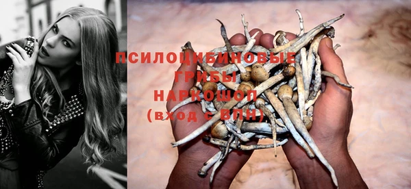 гидропоника Арсеньев