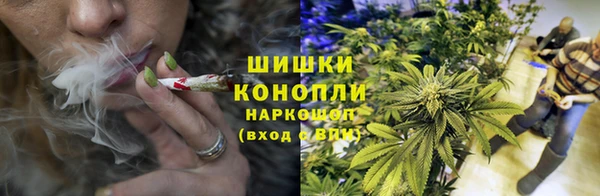 гидропоника Арсеньев