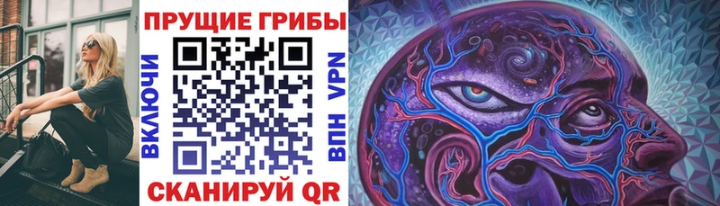 Купить закладки  Ревда  Псилоцибиновые грибы Psilocybe 