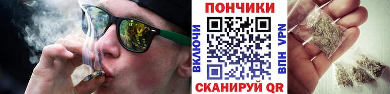 Купить закладки  Ревда  Бошки марихуана тримм 